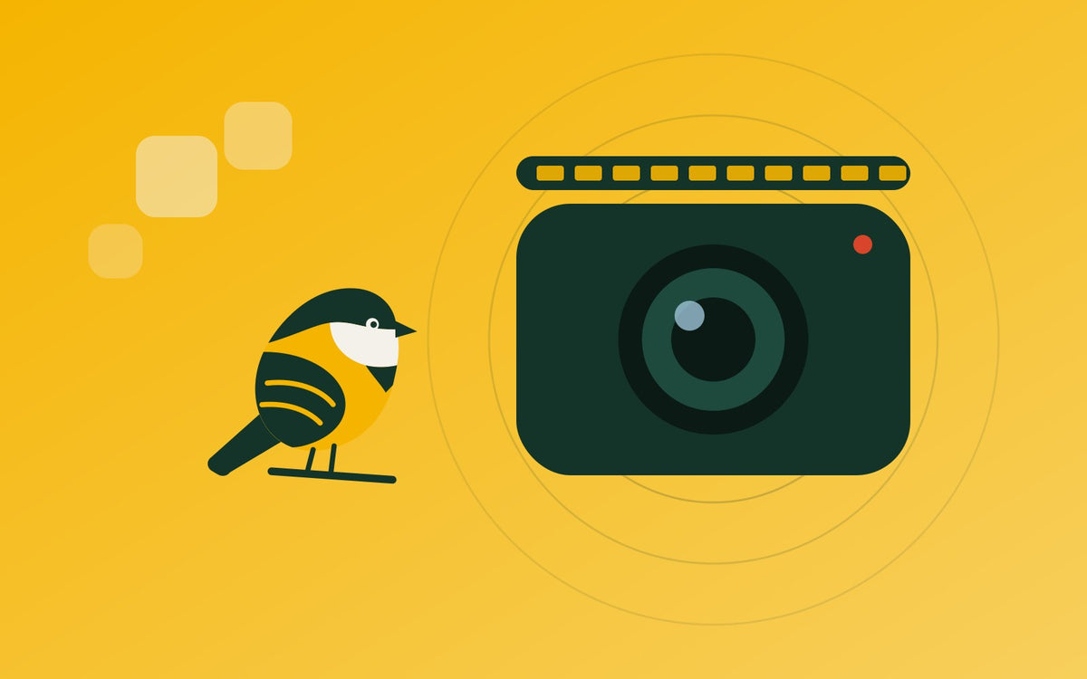 The 2026 Tracker's Briefing: What's New in Birding Tech