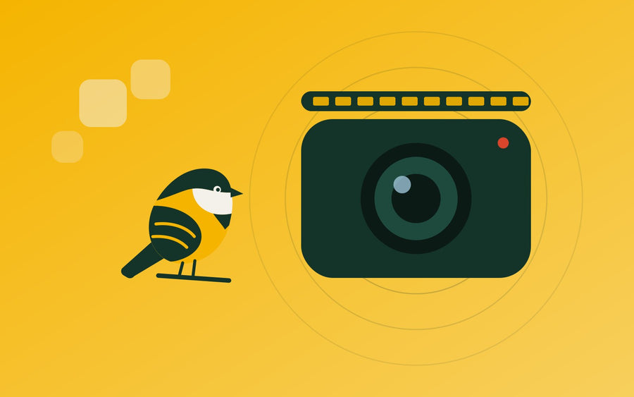 The 2026 Tracker's Briefing: What's New in Birding Tech