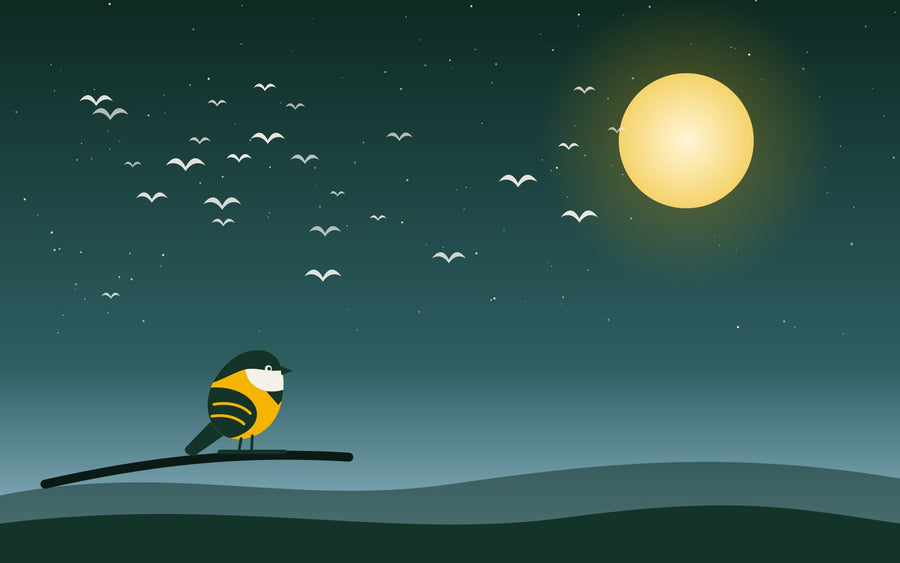 Fall Migration Field Plan: How to Track Night Migrants From Your Backyard