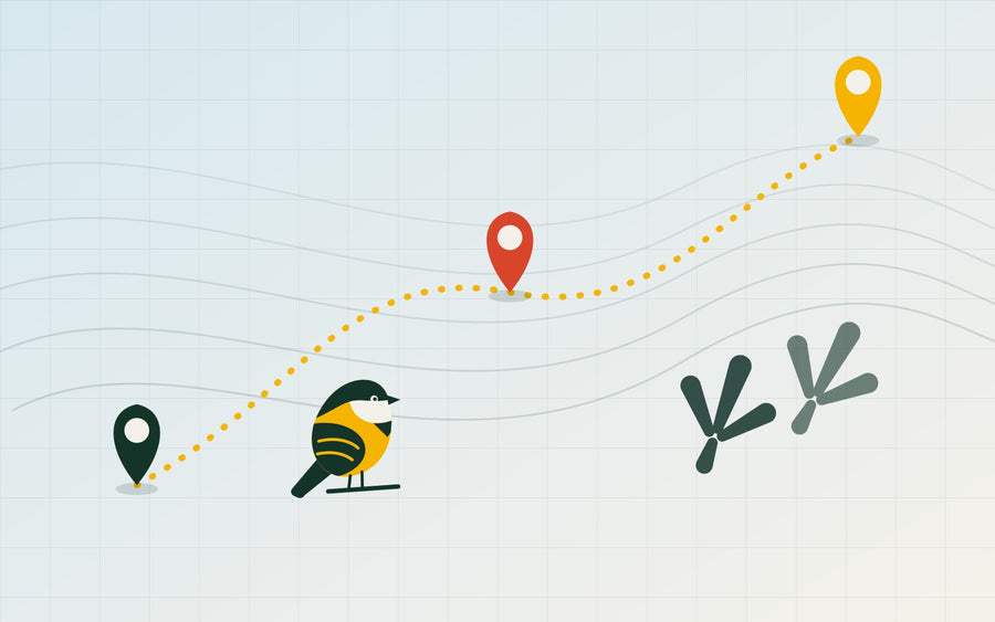 Start Tracking: Build Your Backyard Bird List With eBird and Merlin