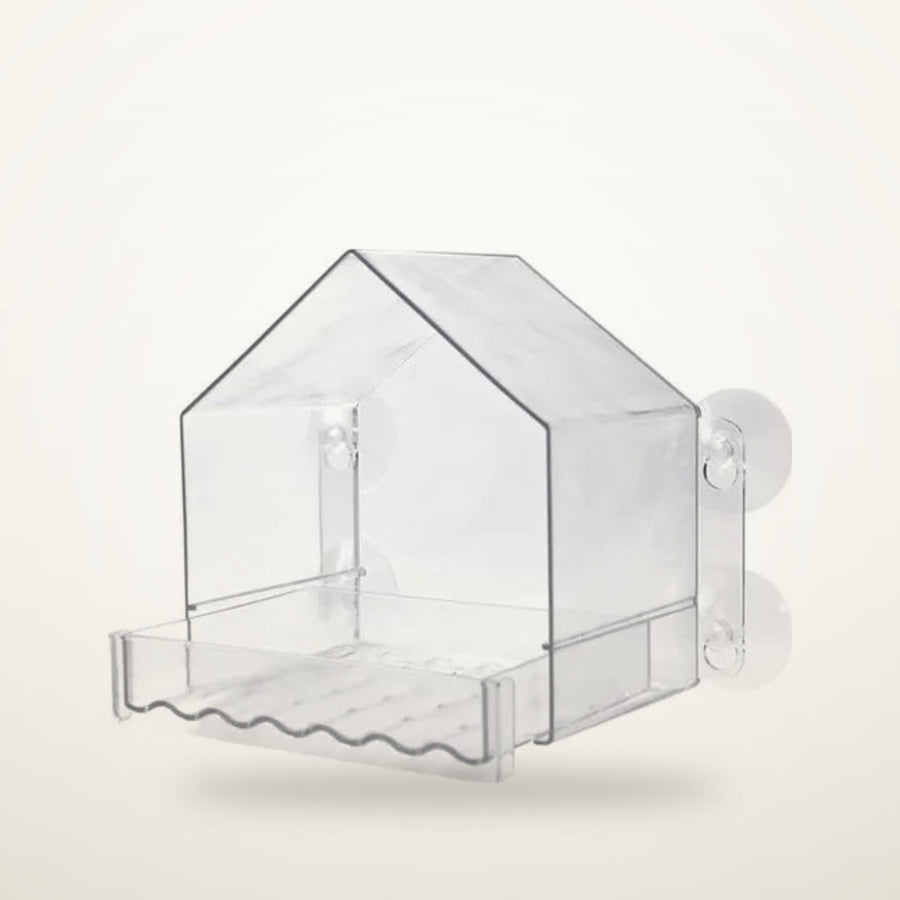 How to Clean a Bird Feeder (and Why It Matters More Than Seed)