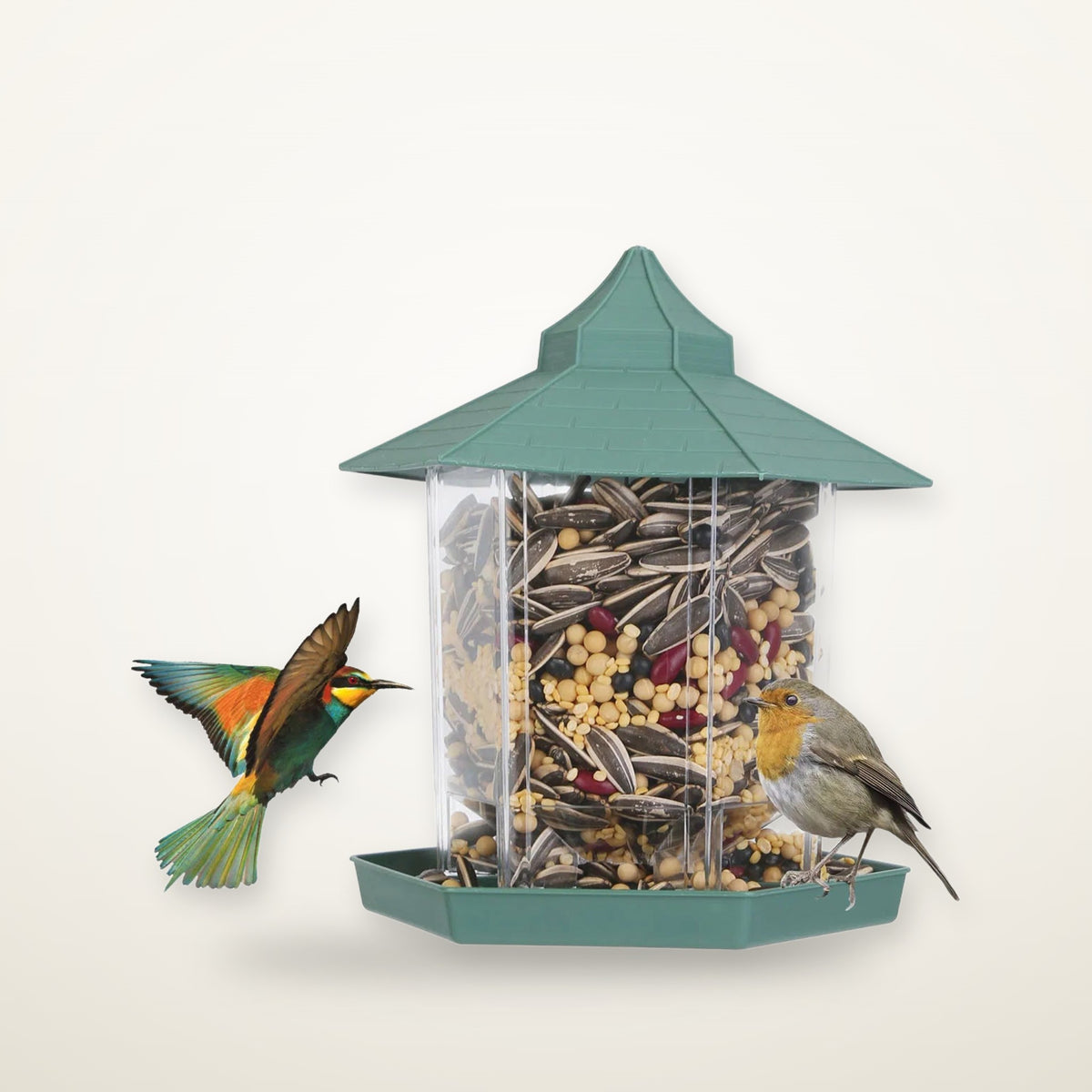 Gazebo feeding station with visiting songbirds