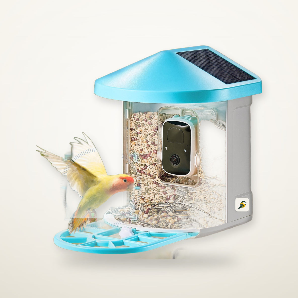 Scout 2K AI smart bird feeder camera with solar roof and a visiting lovebird